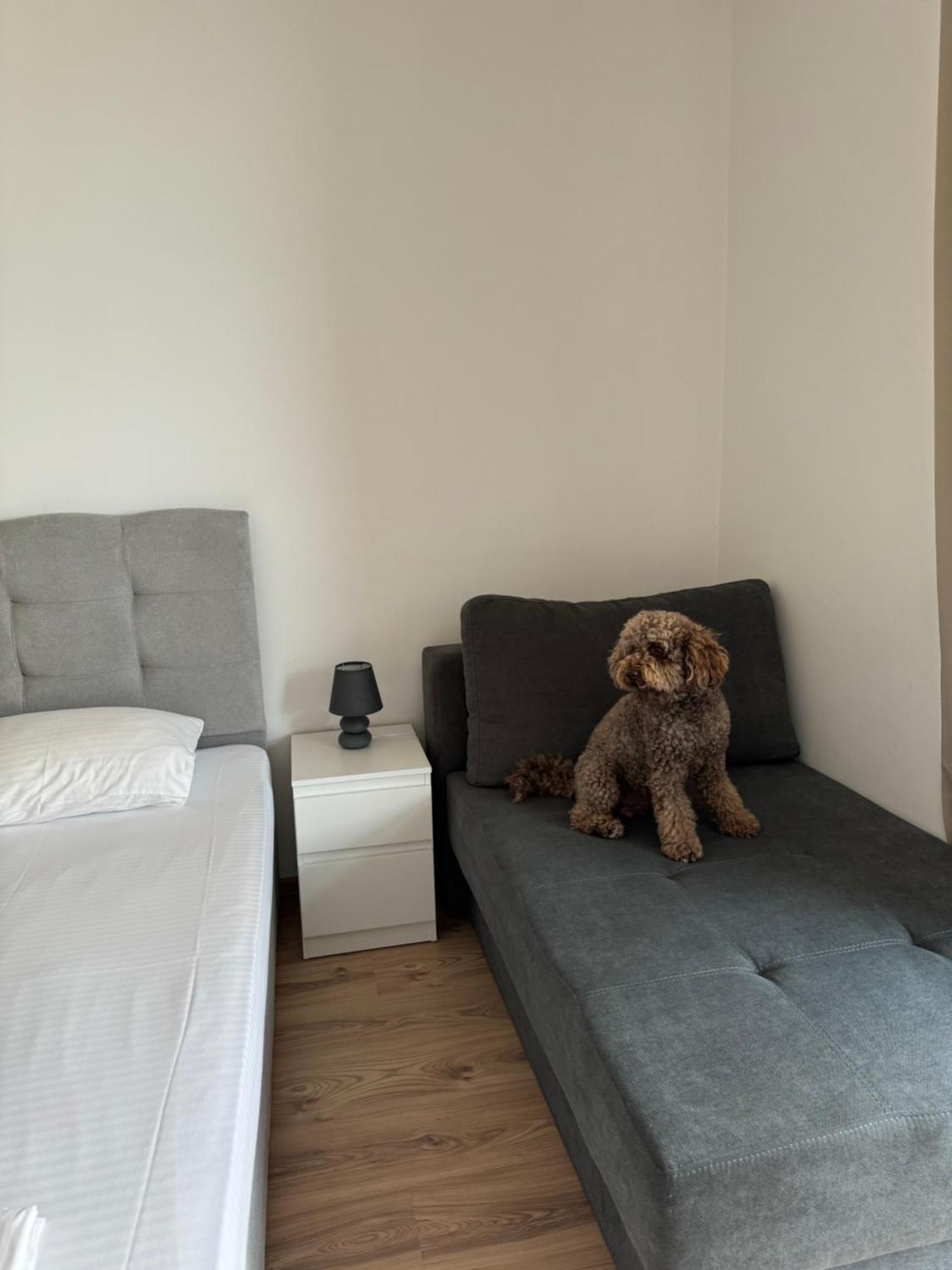 Апартаменти За Гости "Екатерина" Guest Apartments "Ekaterina" 부르가스 외부 사진
